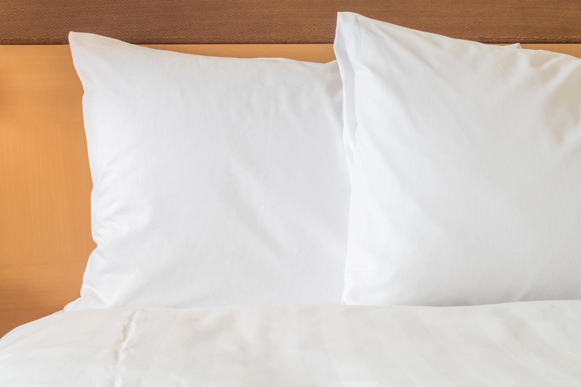 Holiday Inn Express Easton By Ihg Εξωτερικό φωτογραφία